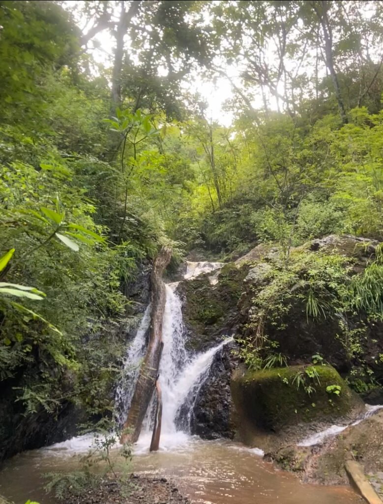 Explore the stunning waterfalls near Alaya Panama, where lush landscapes and refreshing waters offer a peaceful retreat in nature’s embrace