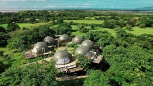 Digital Detox vs Wellness Retreat