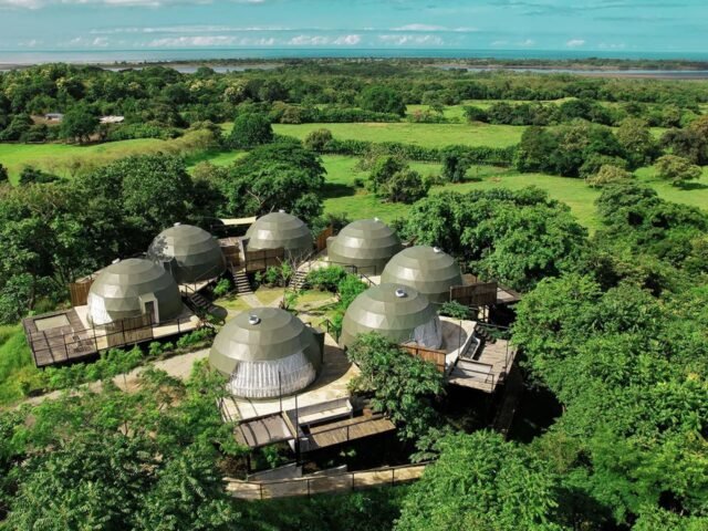 Digital Detox Retreats vs. Wellness Retreats: What’s the Difference?