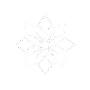 Component 11