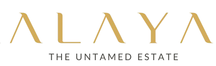 Alaya website project removebg preview